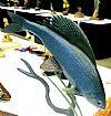 Richard Greinart Carving