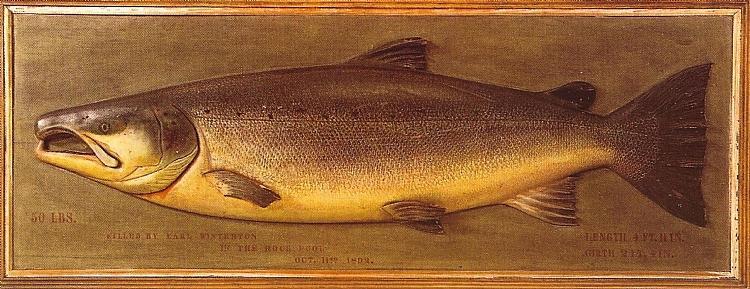 John Russell fish carving